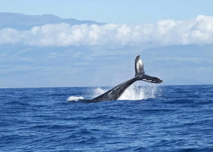 Duplex La Quinta Sunset Con Piscina Y Vistas *