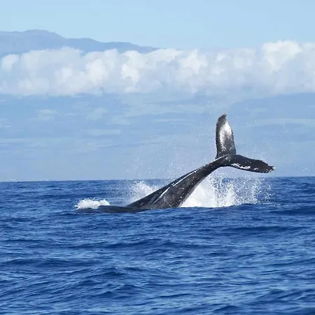 Duplex La Quinta Sunset Con Piscina Y Vistas *